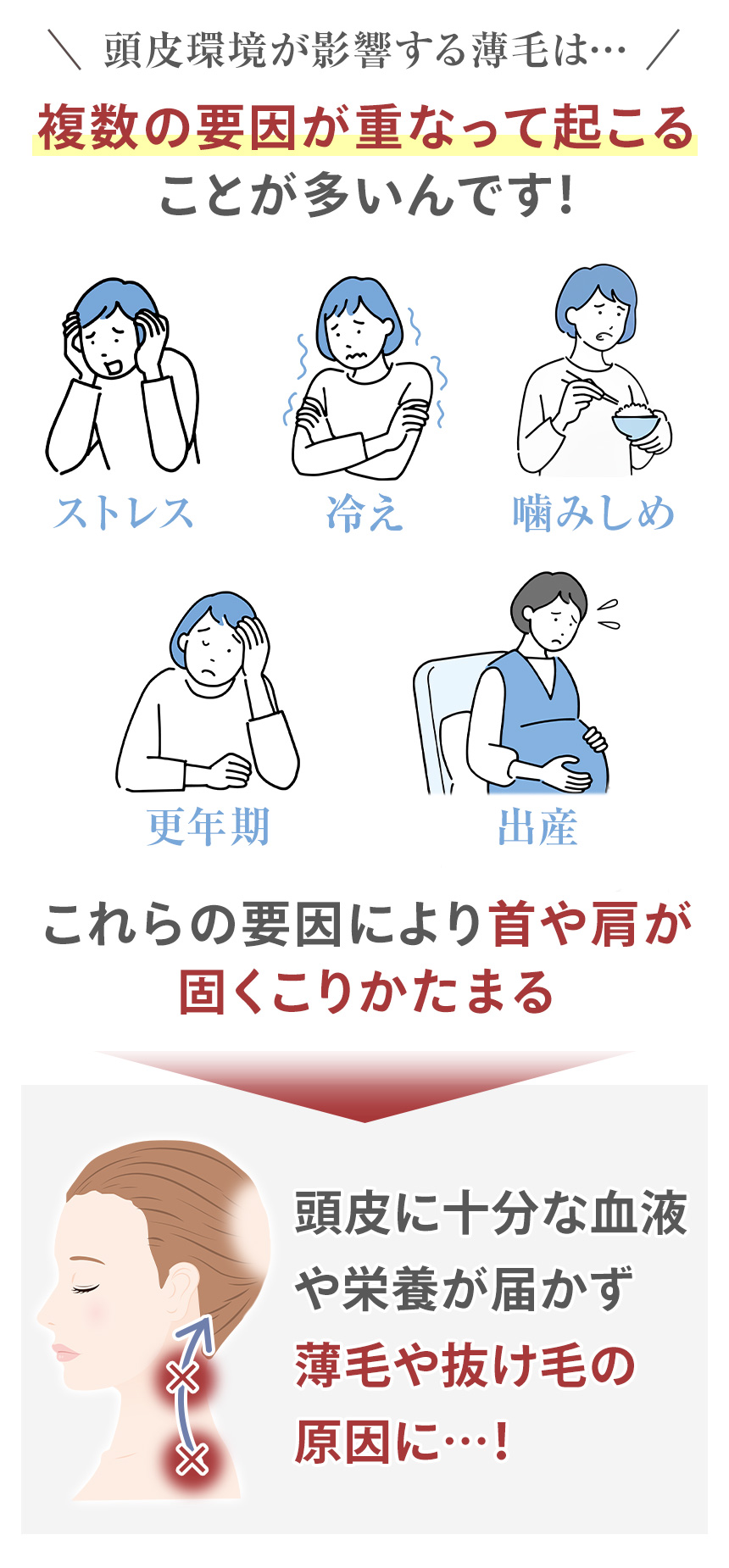 薄毛や抜け毛の原因